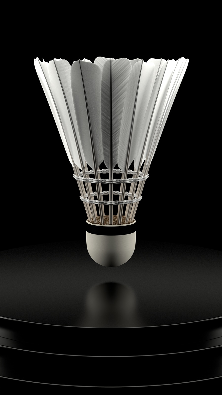 灵活性与体 灵活性与体