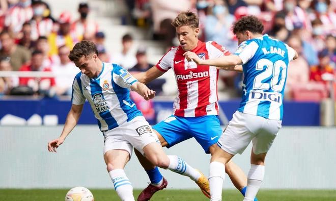 活品质及子 活品质及子