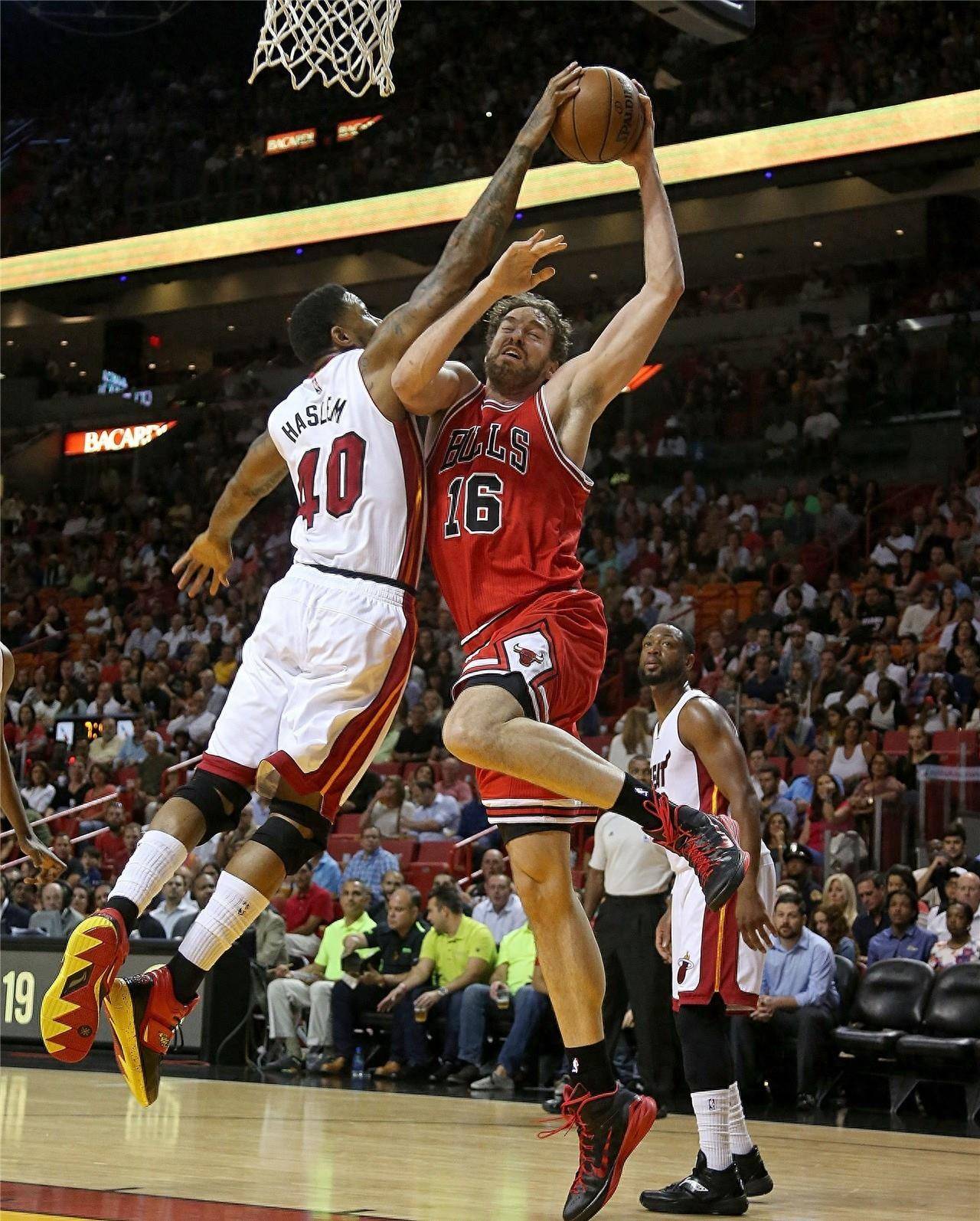 他在一档访 他在一档访