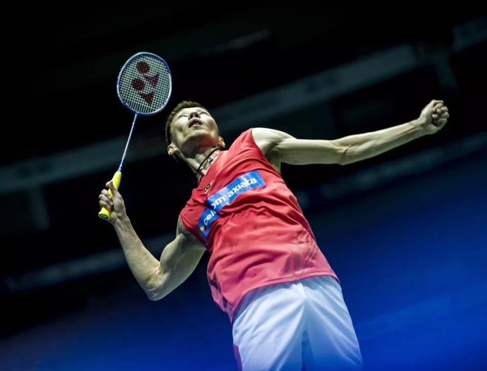 因不仅在于 因不仅在于